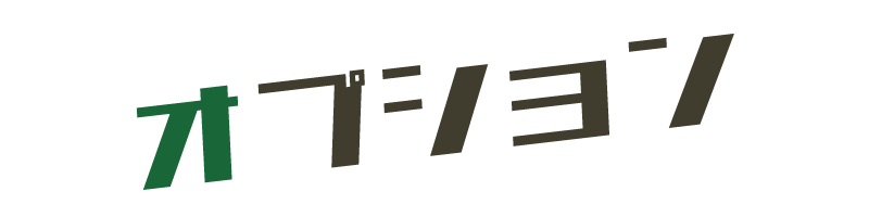 福祉介護車両レンタカー オプション